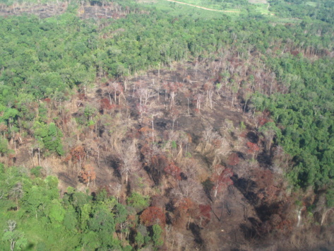 Chef.fe de projet Switch Textile / Représentant.e pays Cambodge – Phnom Penh, CAMBODGE